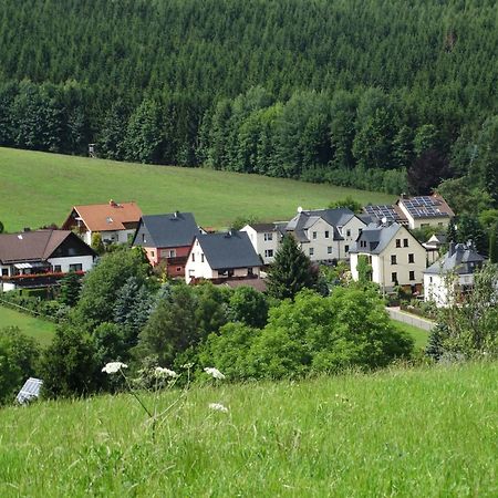 Ferienwohnung "Am Vaterlandsgrubenweg" Oelsnitz  外观 照片